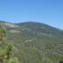embalse de La Jarosa - Bosque Plateado  federacion de montaña de madrid club senderismo madrid grupo